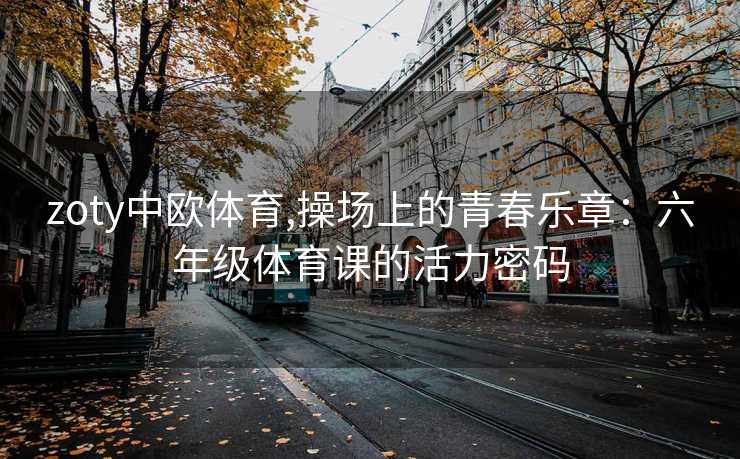 zoty中欧体育,操场上的青春乐章：六年级体育课的活力密码