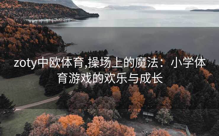 zoty中欧体育,操场上的魔法：小学体育游戏的欢乐与成长