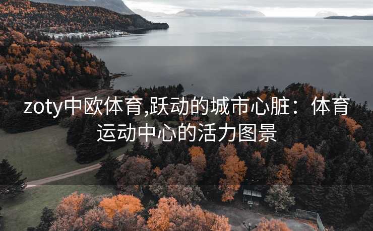 zoty中欧体育,跃动的城市心脏：体育运动中心的活力图景