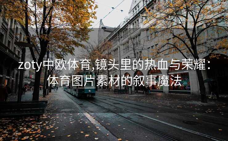 zoty中欧体育,镜头里的热血与荣耀：体育图片素材的叙事魔法