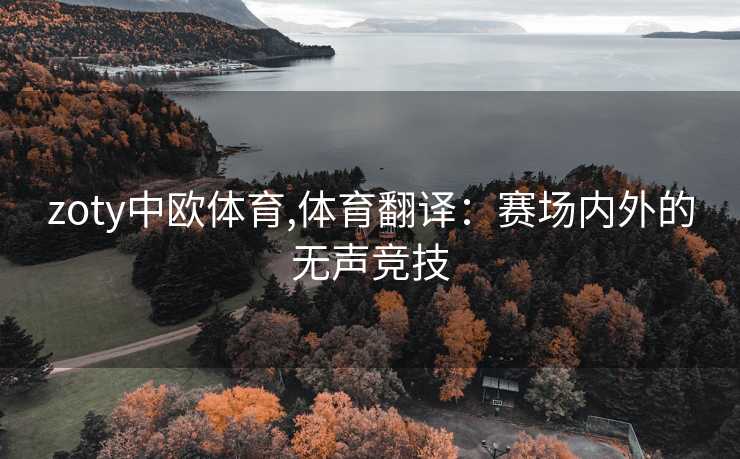 zoty中欧体育,体育翻译：赛场内外的无声竞技